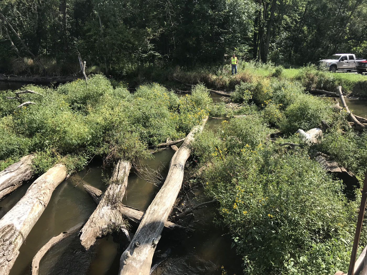 logjam at stateline